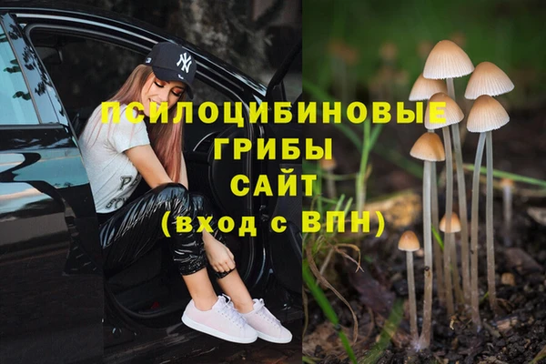 дживик Алексин