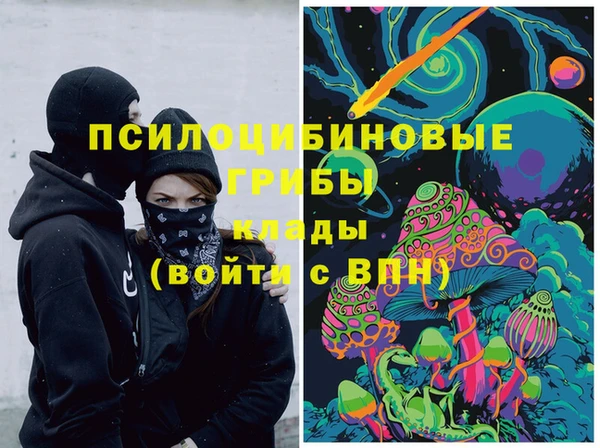 дживик Алексин
