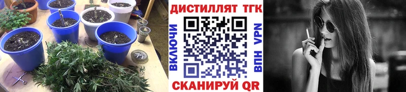 ТГК THC oil  сколько стоит  Темрюк 
